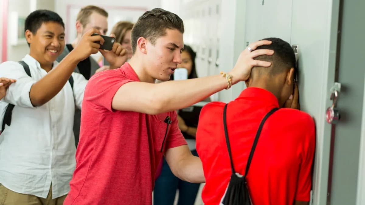 Physical Bullying